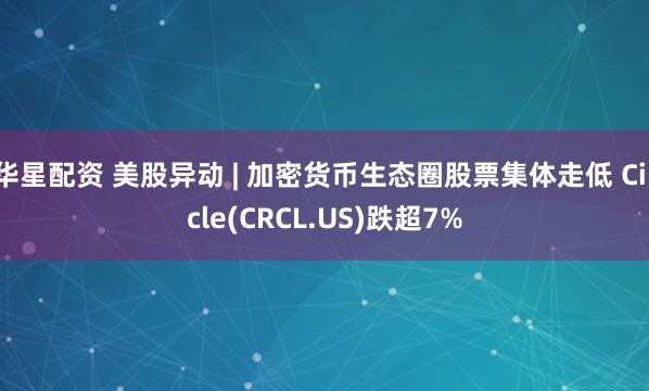 华星配资 美股异动 | 加密货币生态圈股票集体走低 Circle(CRCL.US)跌超7%