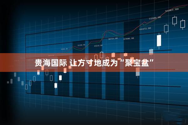 贵海国际 让方寸地成为“聚宝盆”