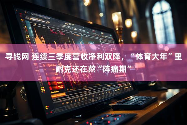 寻钱网 连续三季度营收净利双降，“体育大年”里耐克还在熬“阵痛期”