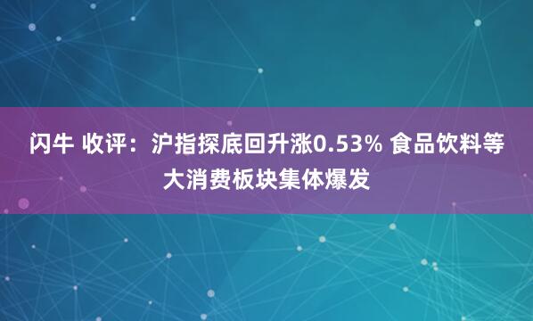 闪牛 收评：沪指探底回升涨0.53% 食品饮料等大消费板块集体爆发